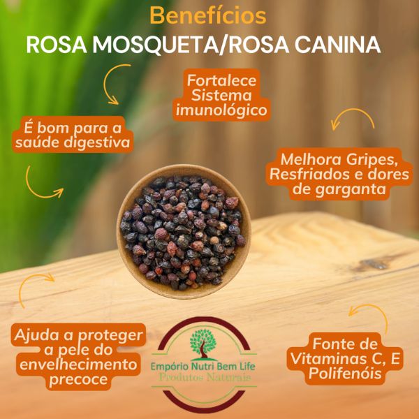 ROSA CANINA - ROSA MOSQUETA CH�